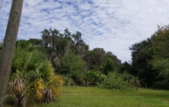 Price Reduced! 0.16 ac in Tavares, FL – Perfect for retirement or building your dream home!